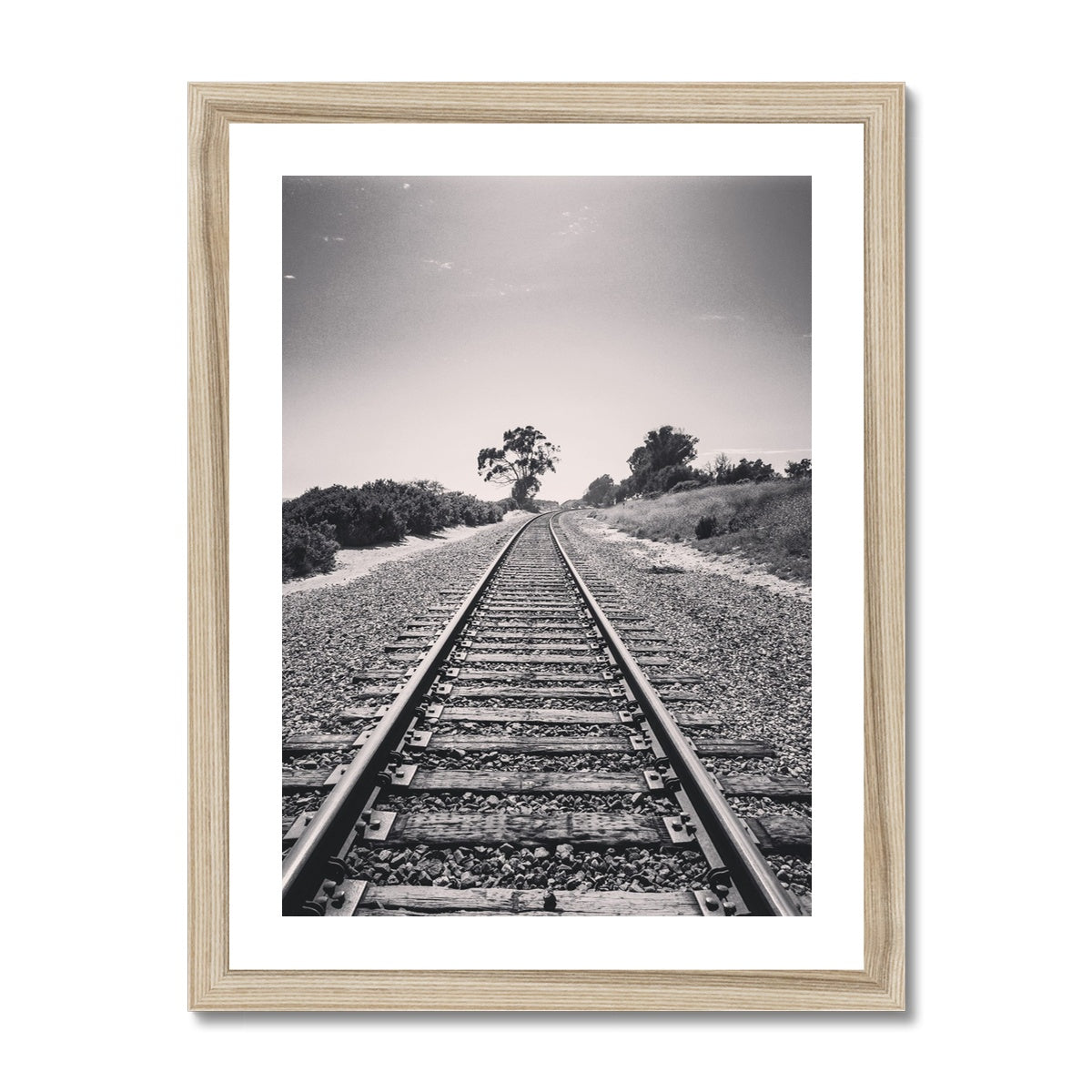 Pacific Surfliner  (b+w) Framed Print