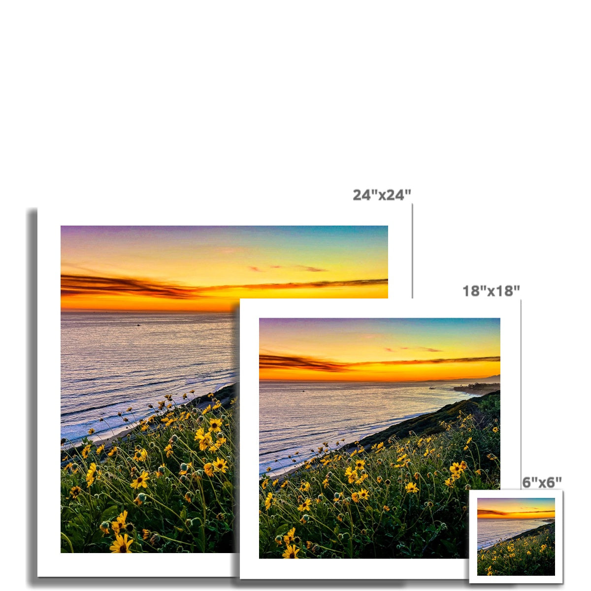 Yellow Daisy Sunset Wall Art Poster