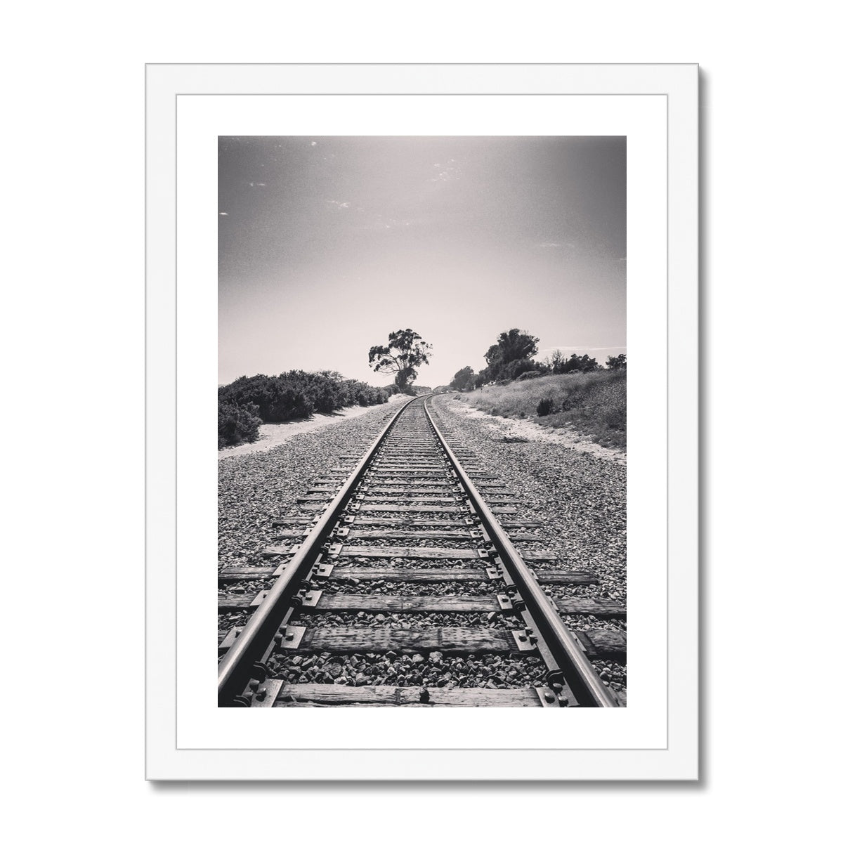 Pacific Surfliner  (b+w) Framed Print