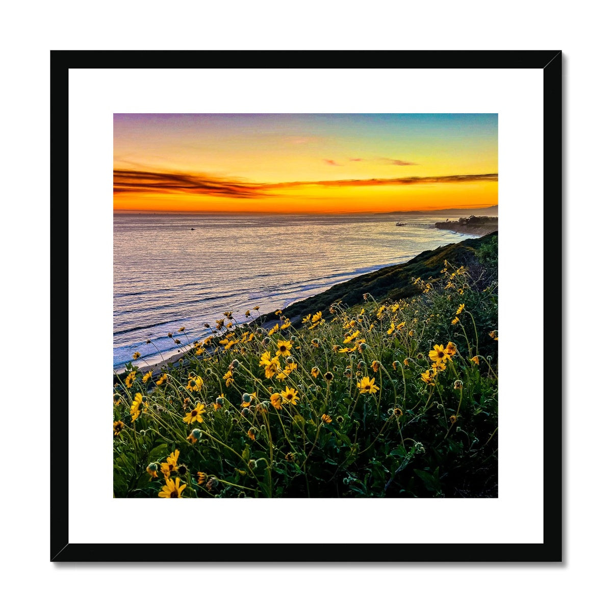 Yellow Daisy Sunset Framed & Mounted Print