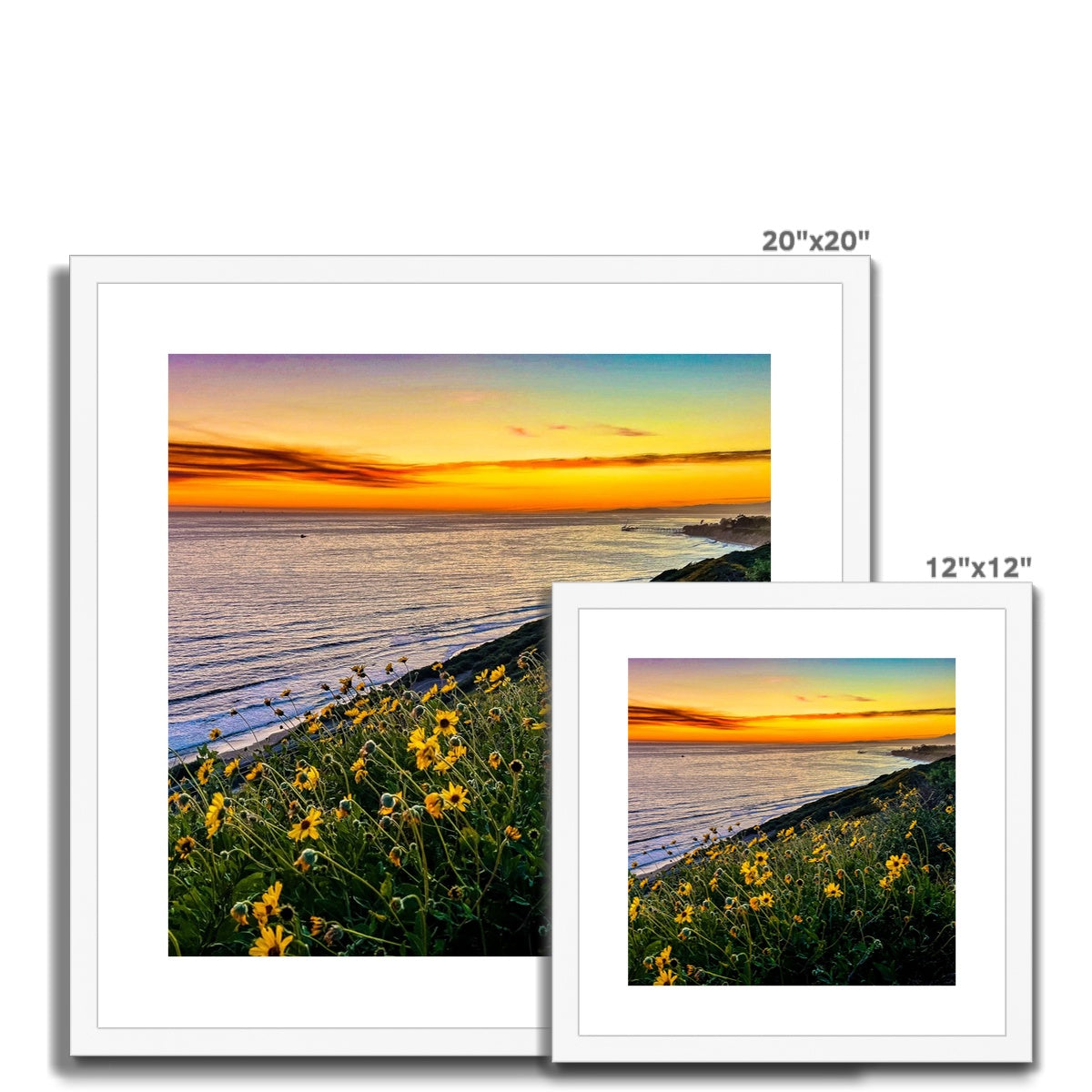 Yellow Daisy Sunset Framed & Mounted Print