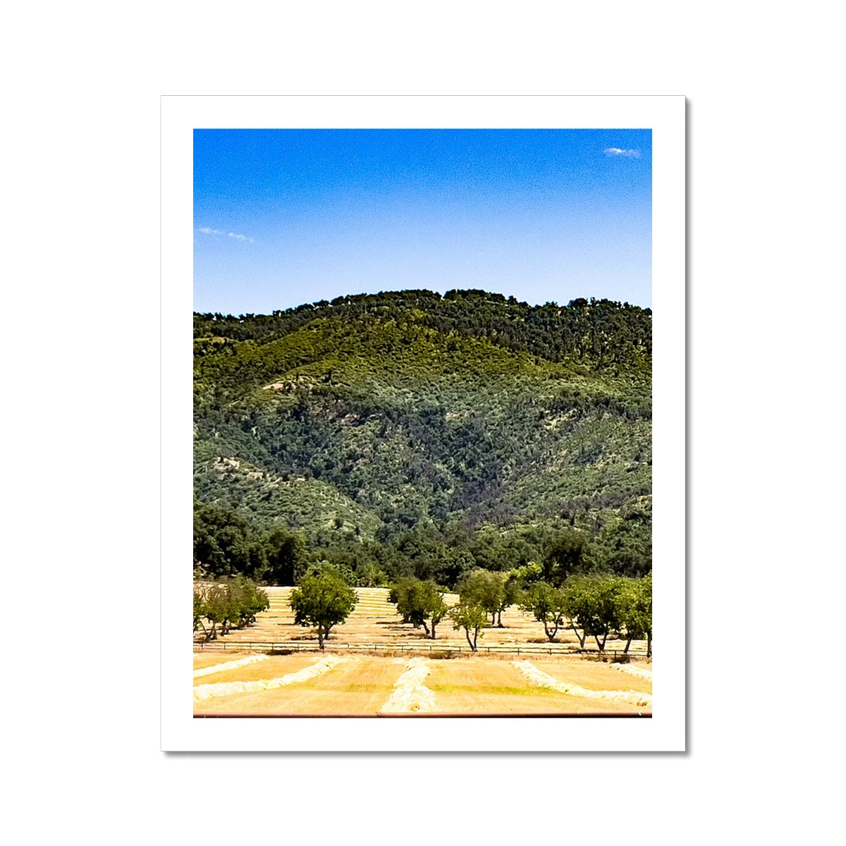 Ojai Valley {before summer} Photo Art Print