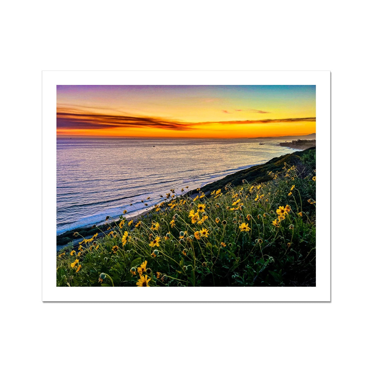 Yellow Daisy Sunset Wall Art Poster