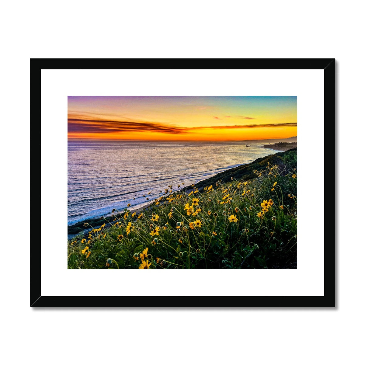 Yellow Daisy Sunset Framed & Mounted Print