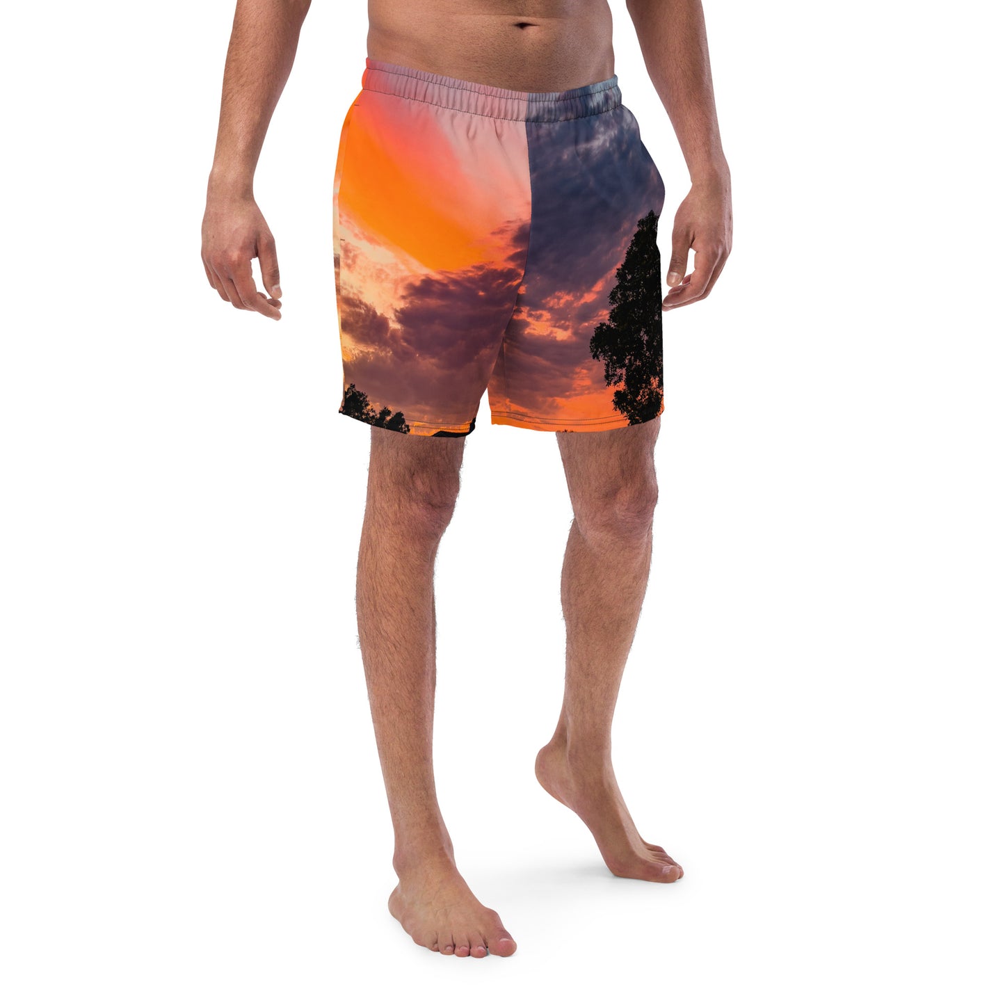 Psychedelic Sunset (a pair of swim trunks}