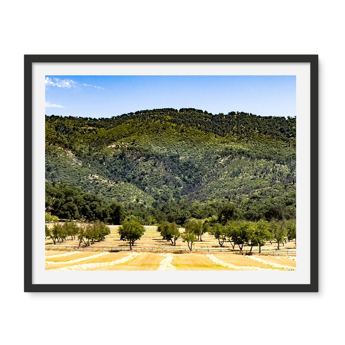 Ojai Valley {before summer} Framed Photo Tile