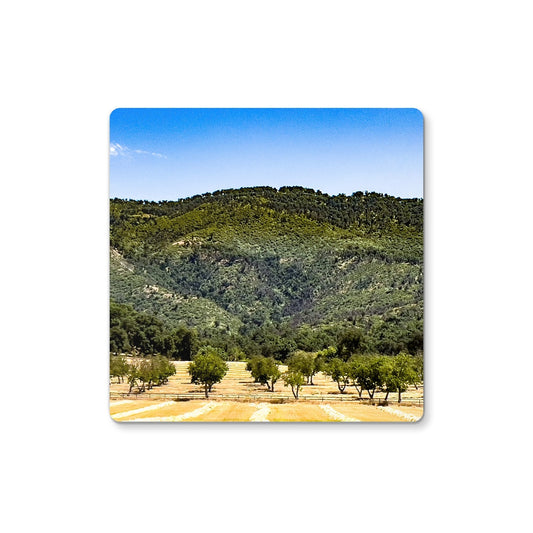 Ojai Valley {before summer} Coaster