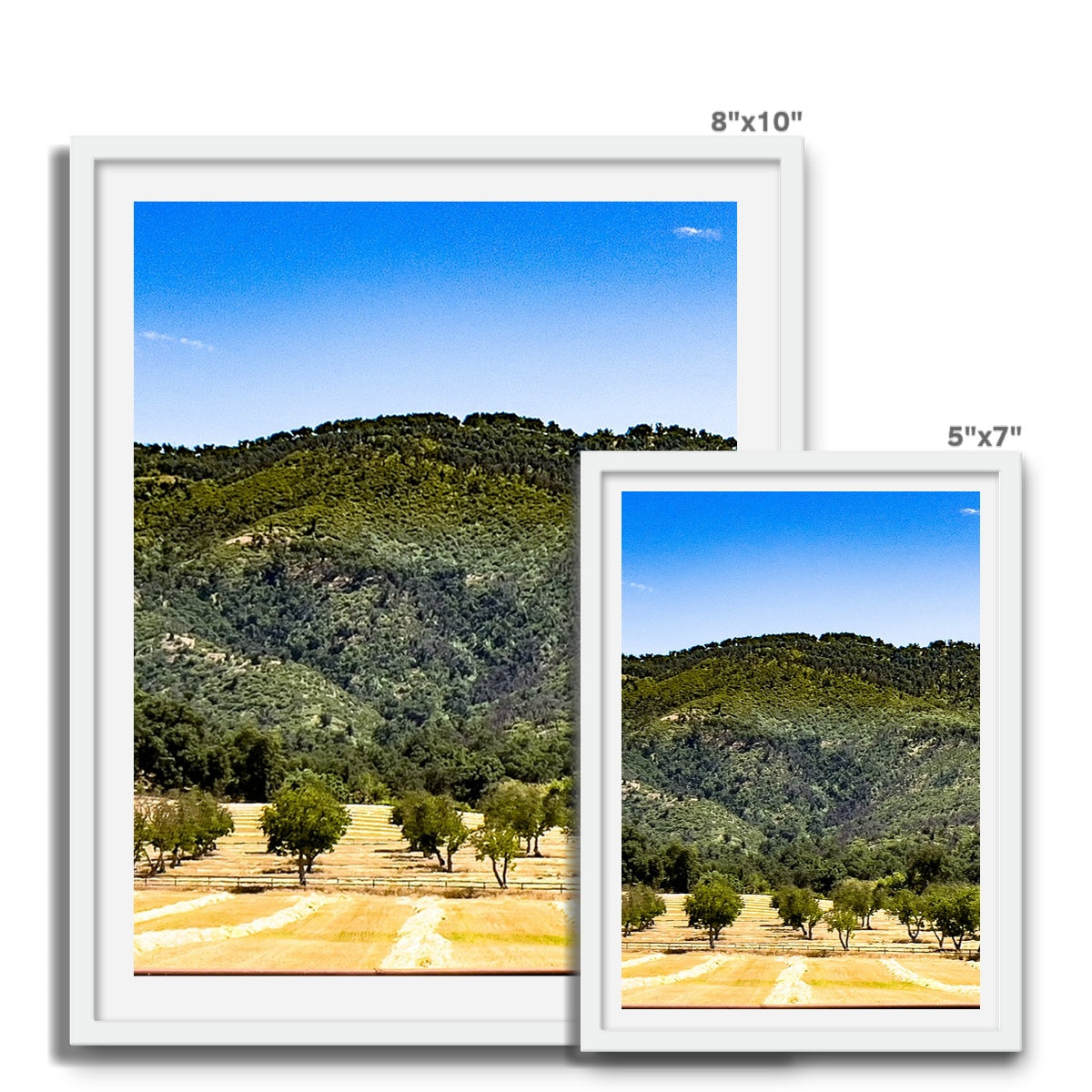 Ojai Valley {before summer} Framed Photo Tile