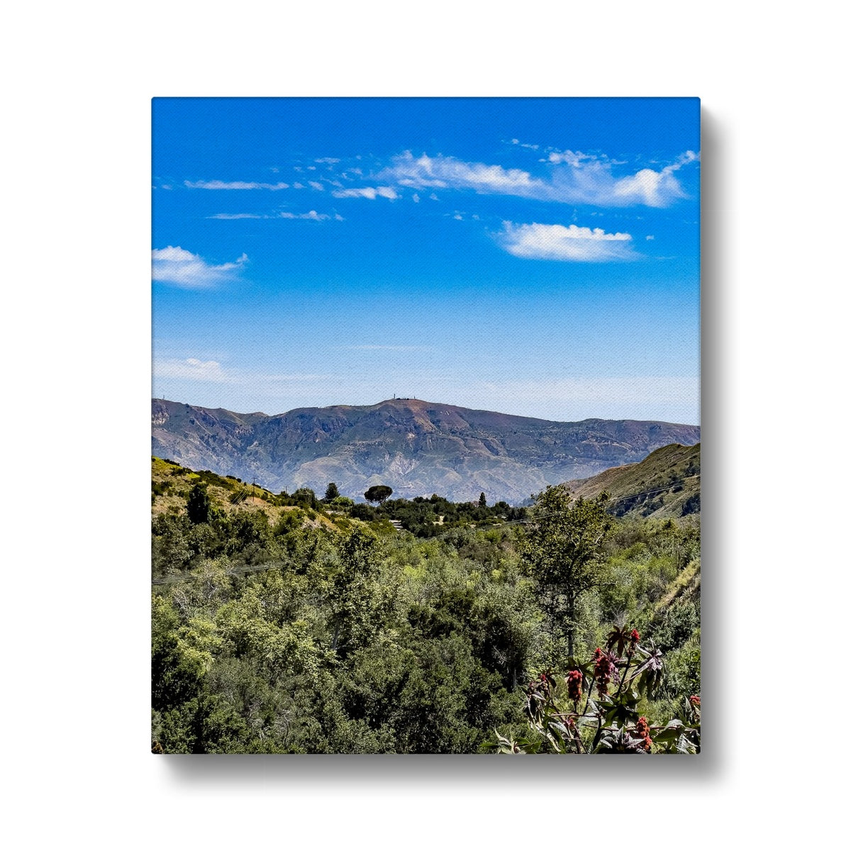 Ojai Valley Canvas