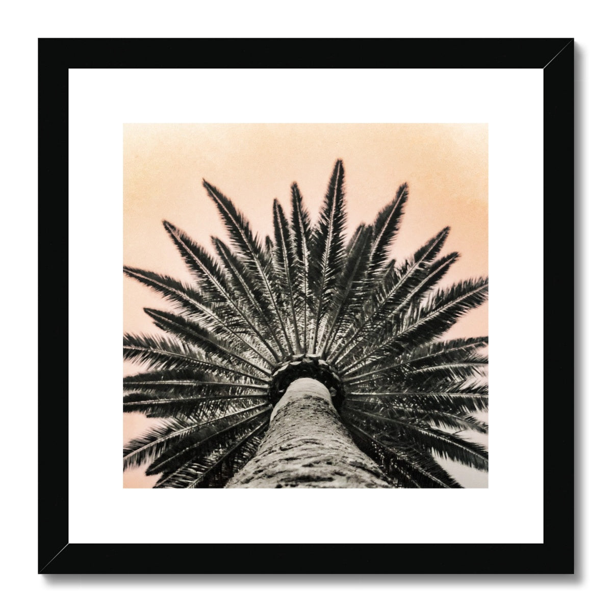 Tinty Palm Framed & Mounted Print