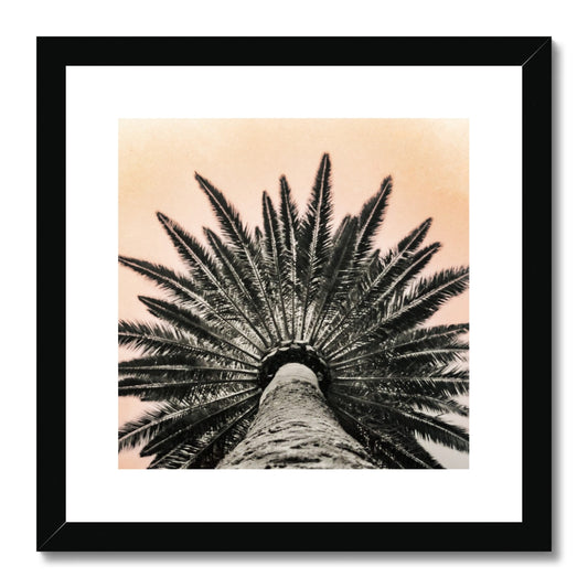 Tinty Palm Framed & Mounted Print