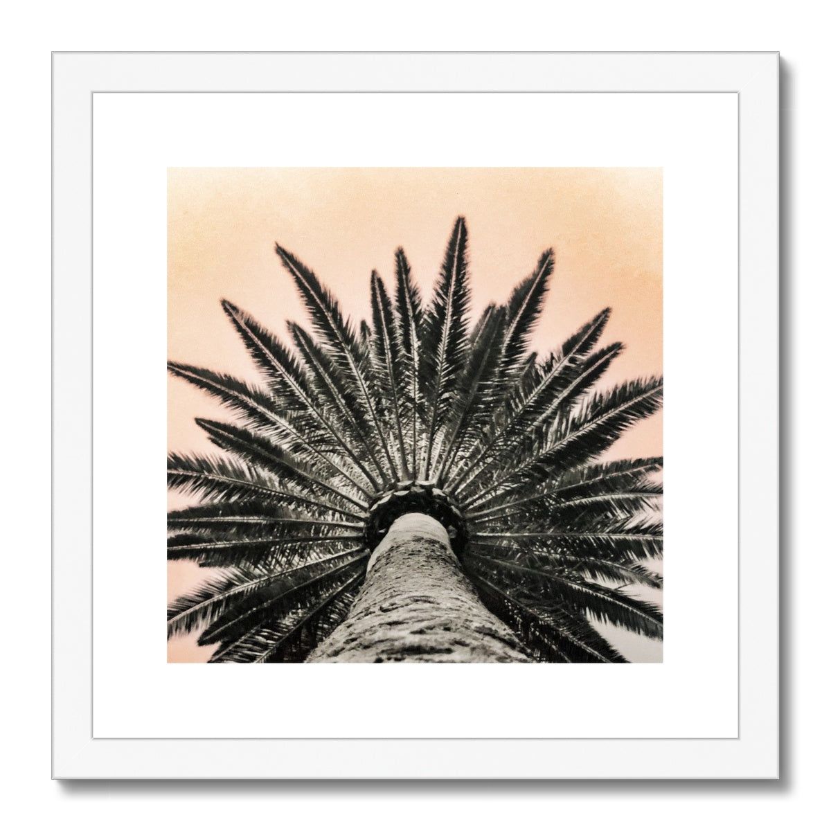 Tinty Palm Framed & Mounted Print