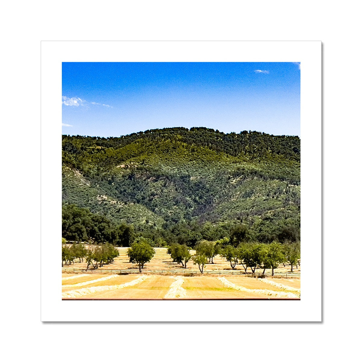 Ojai Valley {before summer} Photo Art Print