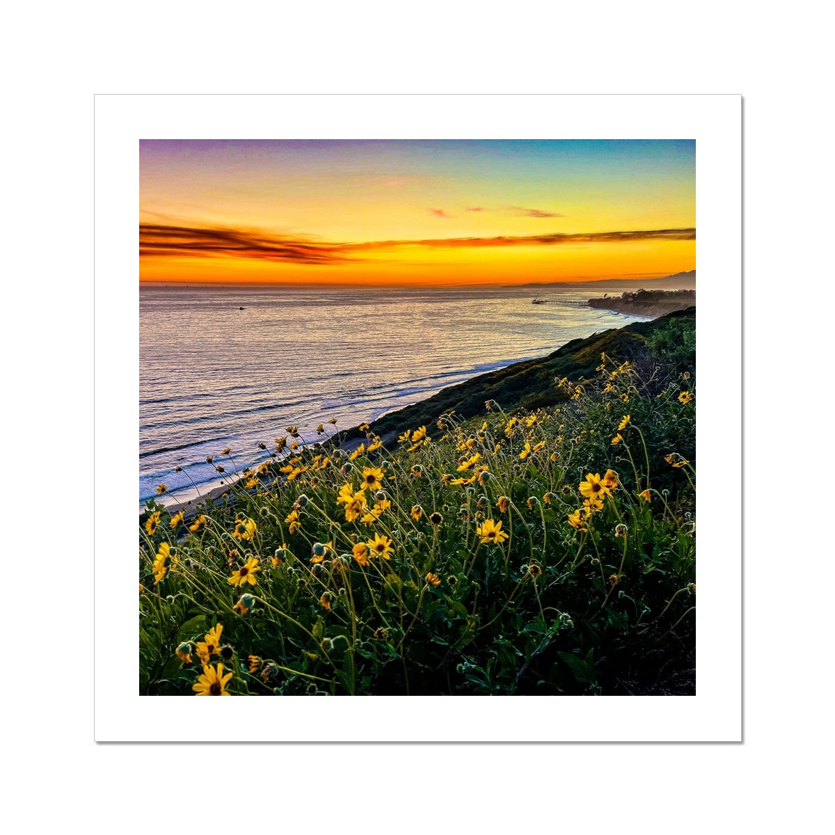 Yellow Daisy Sunset Wall Art Poster