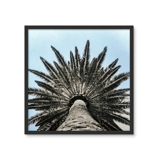 Bluey Palm Framed Photo Tile