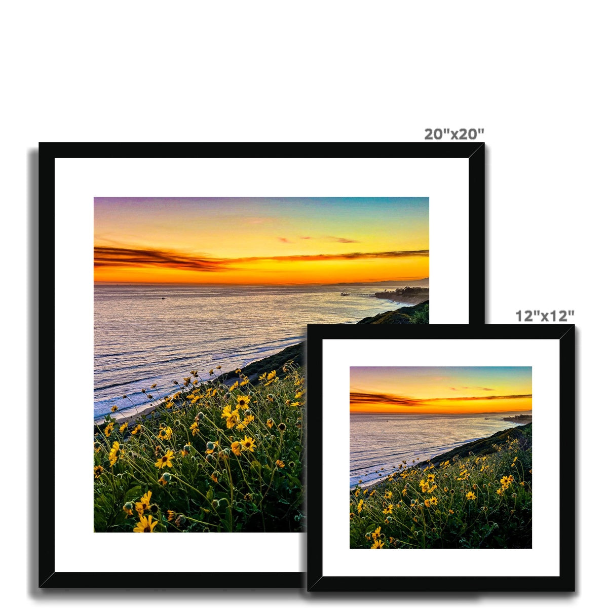 Yellow Daisy Sunset Framed & Mounted Print