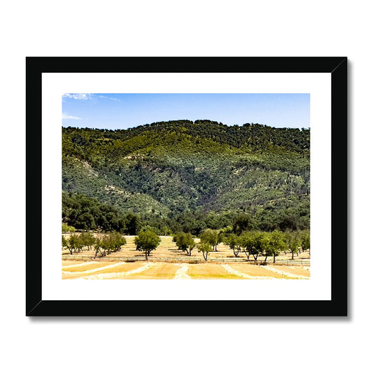 Ojai Valley {before summer} Framed Print