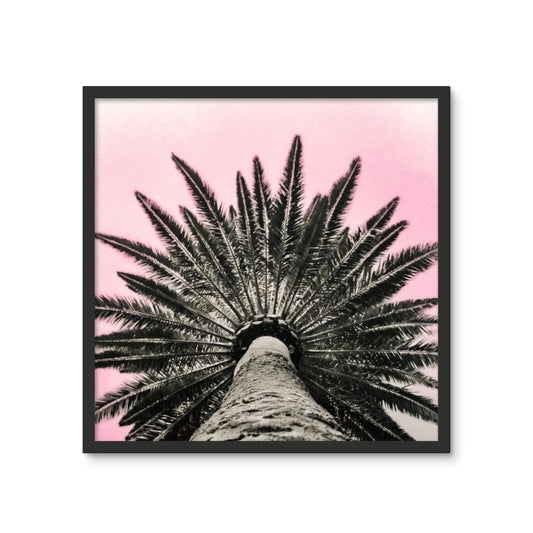 Pinky Palm Framed Photo Tile