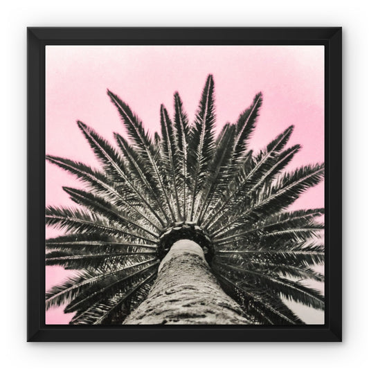 Pinky Palm Framed Canvas