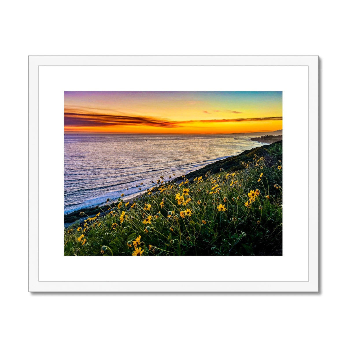 Yellow Daisy Sunset Framed & Mounted Print