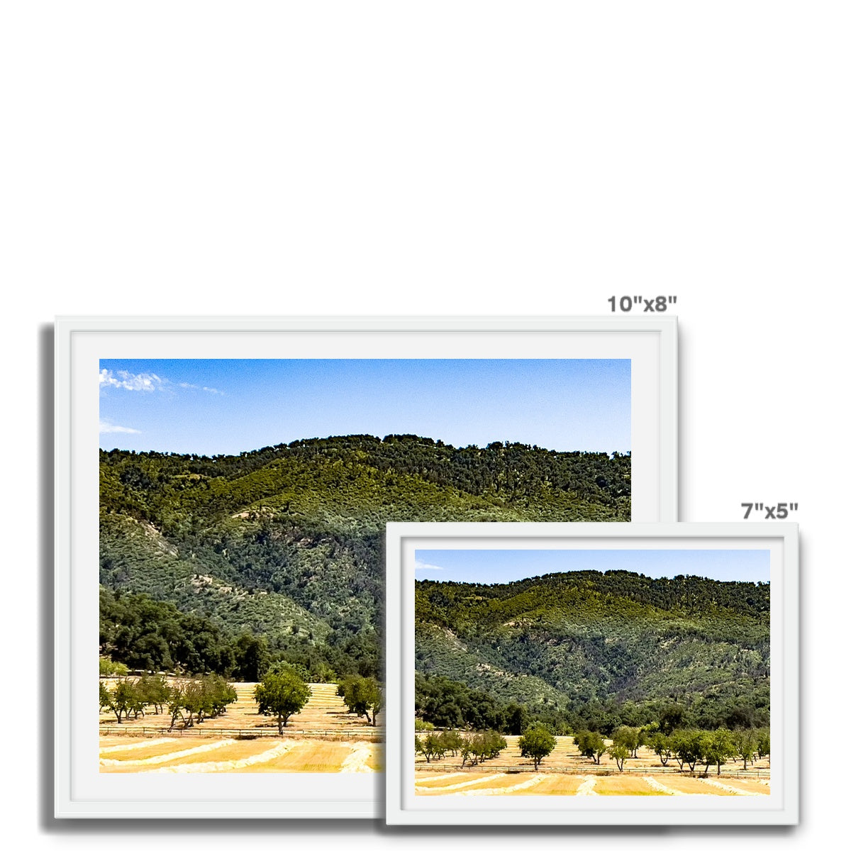 Ojai Valley {before summer} Framed Photo Tile