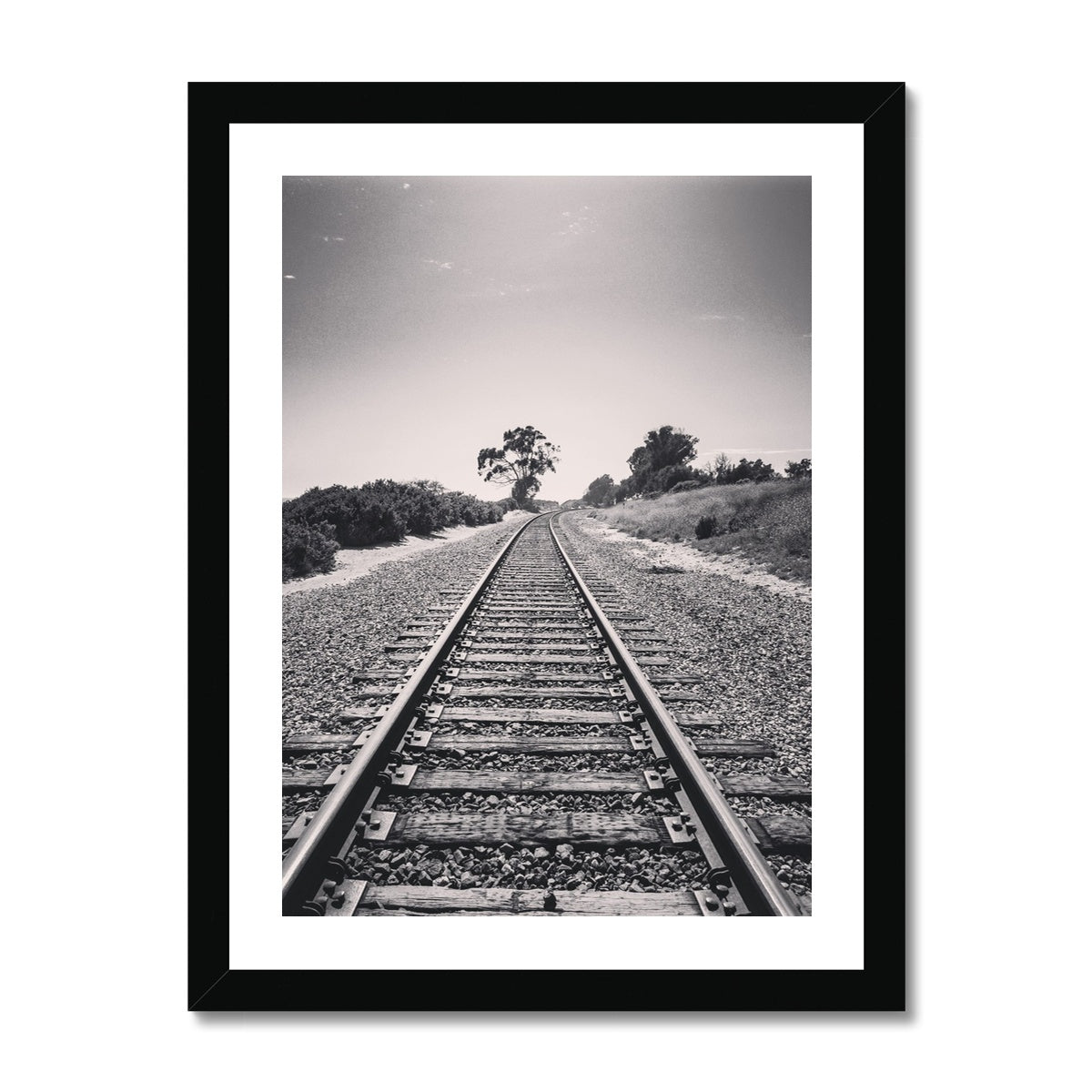 Pacific Surfliner  (b+w) Framed Print