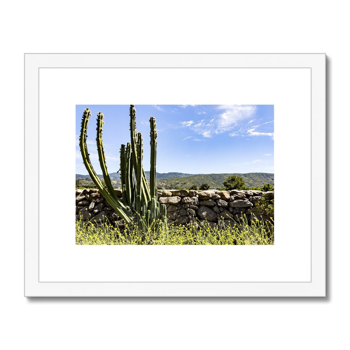 Ojai Cactus Framed & Mounted Print