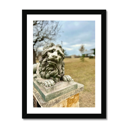 Fredericksburg Friend Framed Print