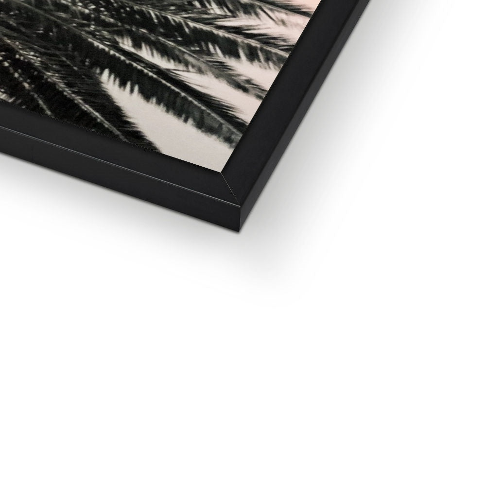 Tinty Palm Framed Print