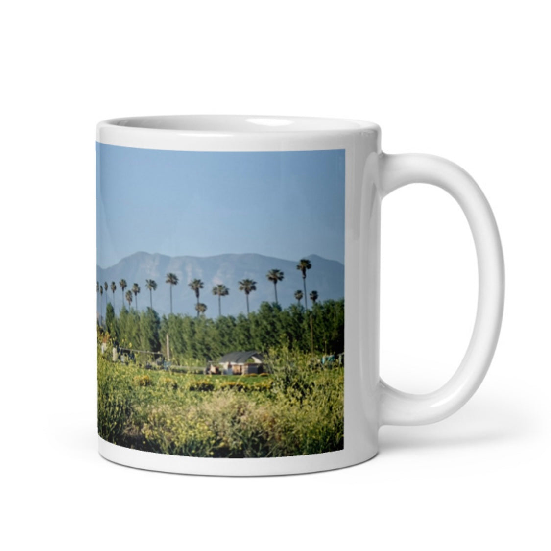 Parade of Palms {a white glossy mug}