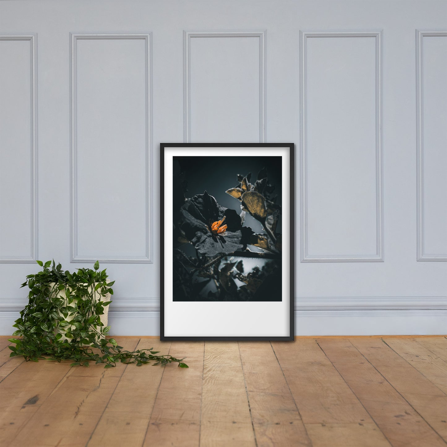 Nights of Cabiria {a framed photo paper poster}